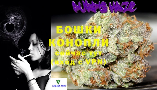 сатива Дмитровск