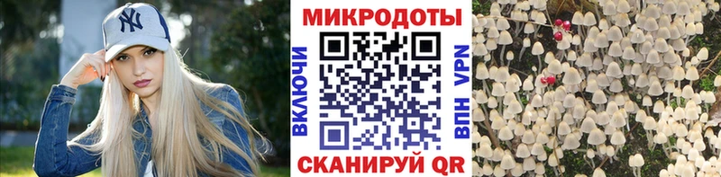 Галлюциногенные грибы Magic Shrooms дарнет шоп Верея